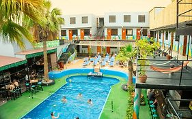 Wild Rover Huacachina